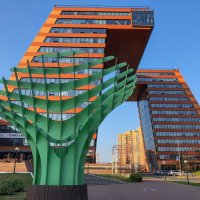 Академгородог :: николай 