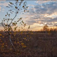 Осень :: **** vedin