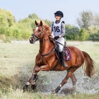 Кросс :: SanSan 