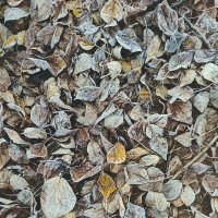 Замороженные 2 :: AZ east3