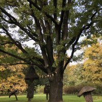 У дубка :: Лариса Корж У дубка :: Лариса Корж