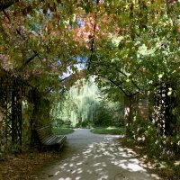 Осенний портал :: Лариса Корж