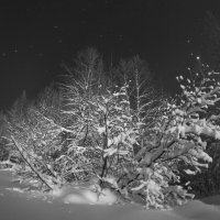 Ночное созерцание :: Евгений Виличинский