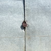 Фотография :: Денис Безногов