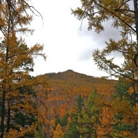 Вершинка :: Мишель71 