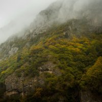Туман в ущелье :: Батик Табуев