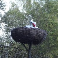 Аист на крыше – счастье под крышей и на Земле. :: Freddy 97