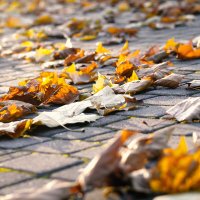 ..... :: Котовский