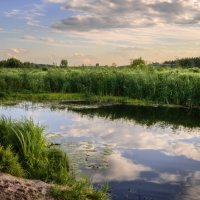 Летний вечер :: Валерий VRN