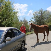Разговор на дороге :: Валерий 
