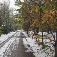 Дорога через парк :: Андрей Макурин