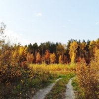 пейзаж :: Владимир пейзаж :: Владимир