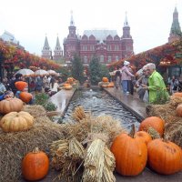 Фестиваль еды и урожая 7 октября :: Михаил Бибичков