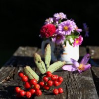 Октябрьское настроение .. :: Татьян@ Ивановна Октябрьское настроение .. :: Татьян@ Ивановна