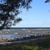 ****** :: ИННА ПОРОХОВА