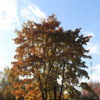 Парковочное место :: Наталья Лунева 