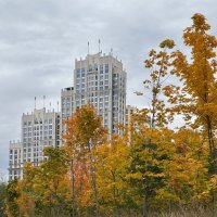 Осень в городе :: Мария - Maria