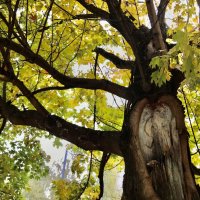 С душой на распашку!) :: Любовь С душой на распашку!) :: Любовь