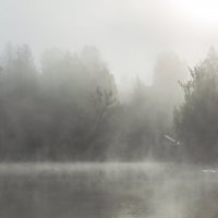 Утро на реке :: Александр Филатов