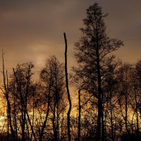 Закат :: Иван Генералов