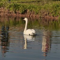 Прогулка :: Тамара Вебер Прогулка :: Тамара Вебер