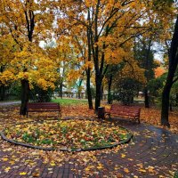 Осень в городе :: Андрей Лукьянов