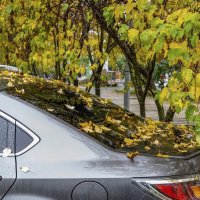 Осень в городе :: Валерий Иванович