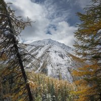 * :: Александр Иванов