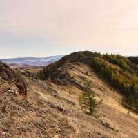 Осень на хребте Нурали :: Галина Ильясова