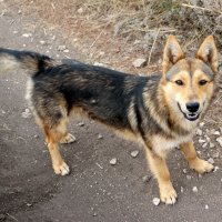 Пошли гулять скорее! :-) :: Андрей Заломленков