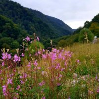 НА ГРАНИЦЕ С АБХАЗИЕЙ :: Tata Wolf