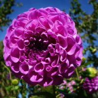 ... :: Галина ... :: Галина