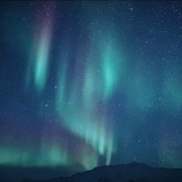 «Посмотри, не опоздай, диво дивное поймай!» :: Михаил Андреев