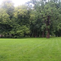 Михайловский сад в Санкт-Петербурге. :: Любовь ***