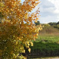 дикий мир осенью :: ИННА ПОРОХОВА