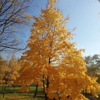 Только начало :: Тамара Вебер