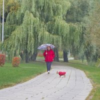 Прогулка :: Тамара Вебер