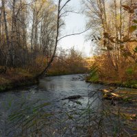 ТИХАЯ ОСЕНЬ... :: Володька Завитушкин
