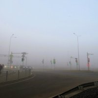 *** :: Лариса С.