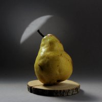 Зонтик для груши. :: Нина Сироткина 
