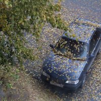 Припарковался... :: Нина Сироткина 