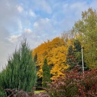 Краски :: Александр Конов