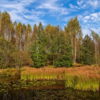 Осень достала краски 5 :: Андрей Дворников Осень достала краски 5 :: Андрей Дворников