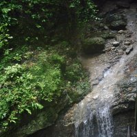 *** :: Марина Виноградова