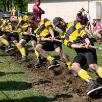 Натянутый нерв :: Регина 