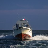 ... :: Жора Житников