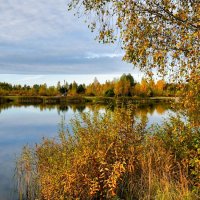Золотая осень Смоленщины. :: Милешкин Владимир Алексеевич 