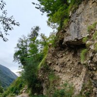 НА ГРАНИЦЕ С АБХАЗИЕЙ :: Tata Wolf