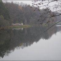 Осенний день. Туман :: Наталья Rosenwasser