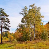 Краски осени :: photo Bo